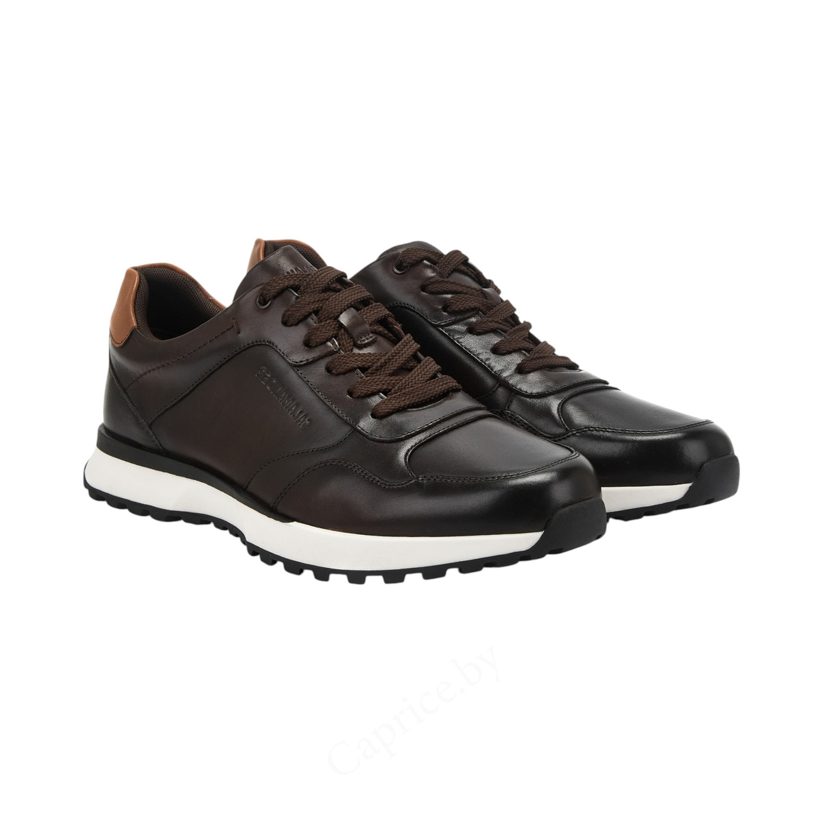 КРОССОВКИ SALAMANDER MEN АРТИКУЛ: 058-5568A-2109